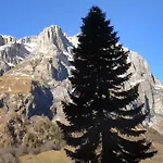 Ringstrasse 122 By Interhome Appartement